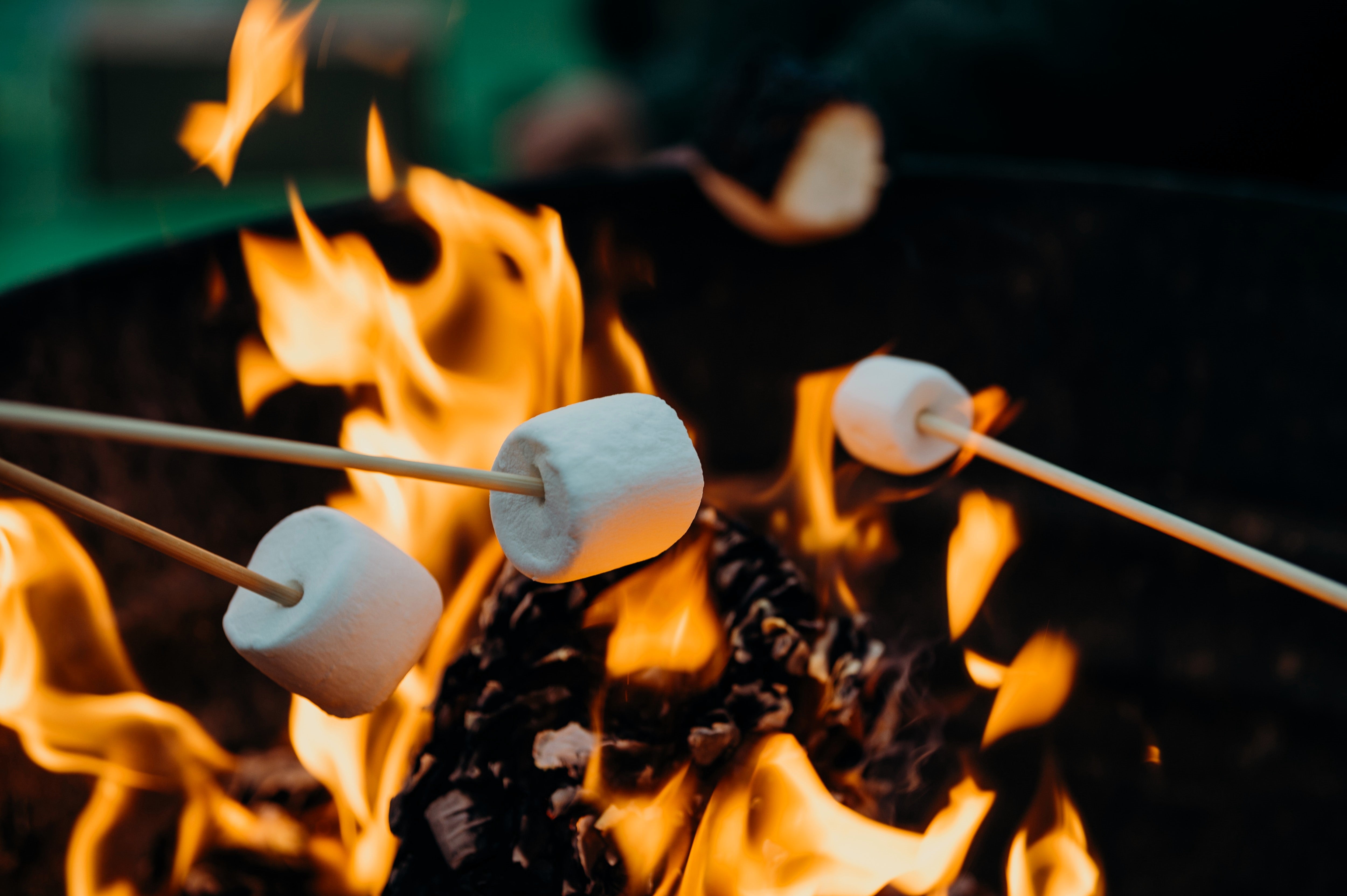 Outdoor Camping Recipes for Your Next Adventure