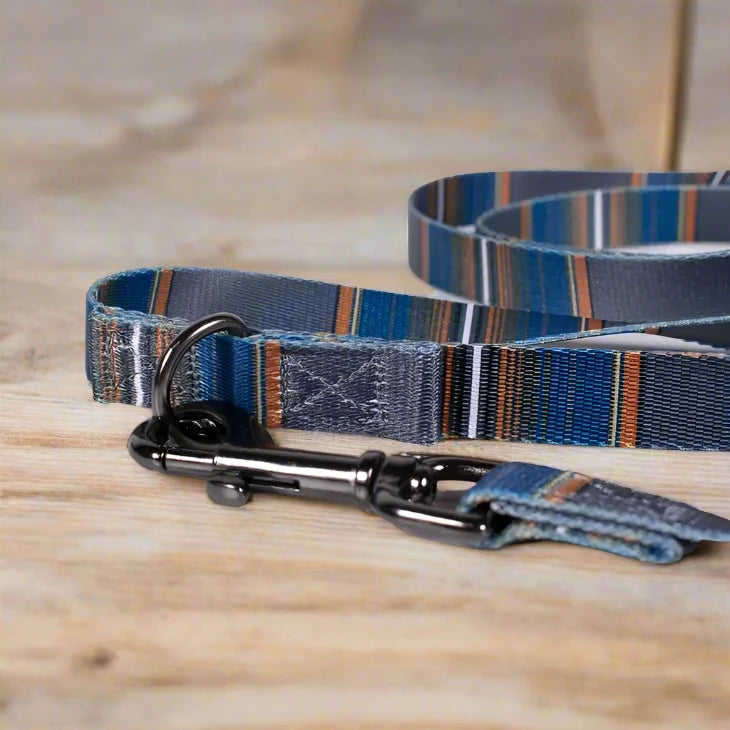 Pendleton National Park Adventure Adjustable Leash - Stylish and Practical Dog Leash for Outdoor Adventures