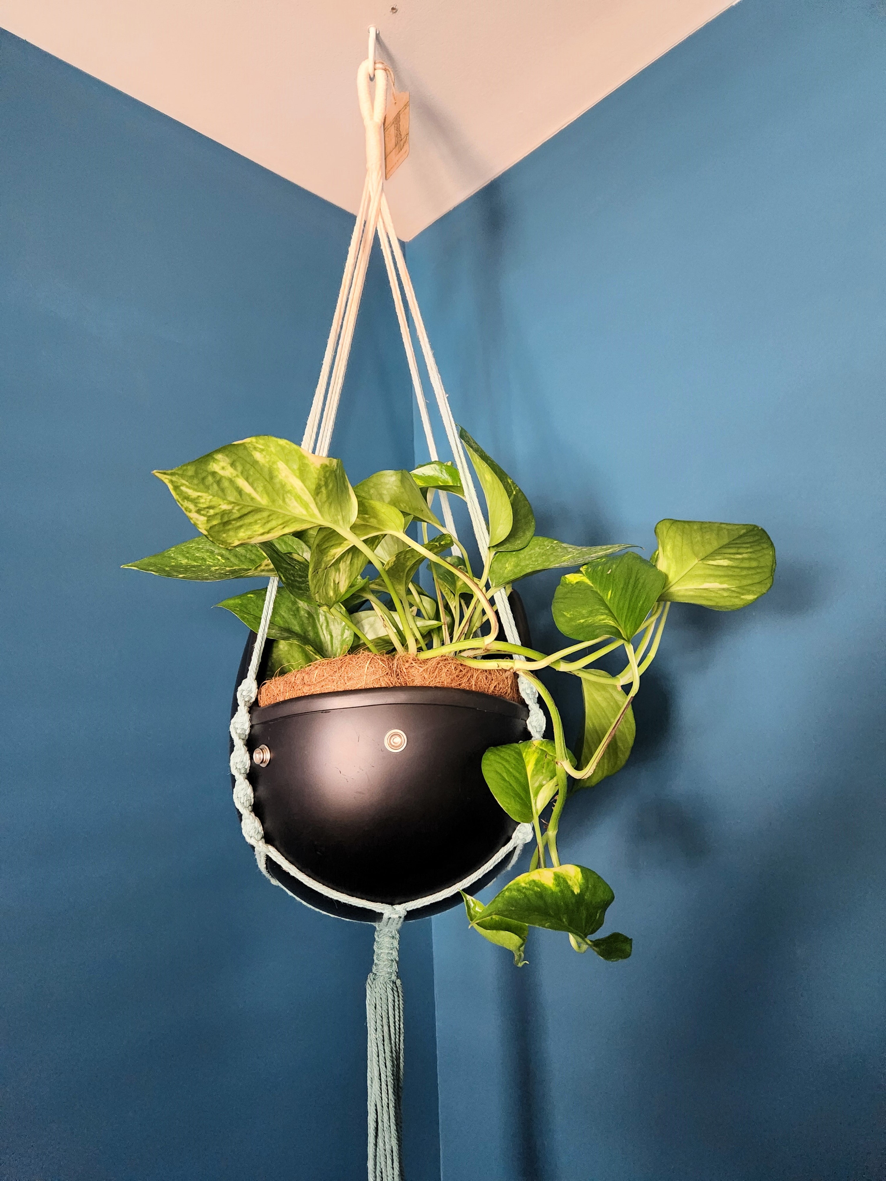 Vintage Open Face Motorcycle Helmet Planters with 100% Handmade Macrame Plant Hanger and Eco-friendly Coconut Fiber Liner