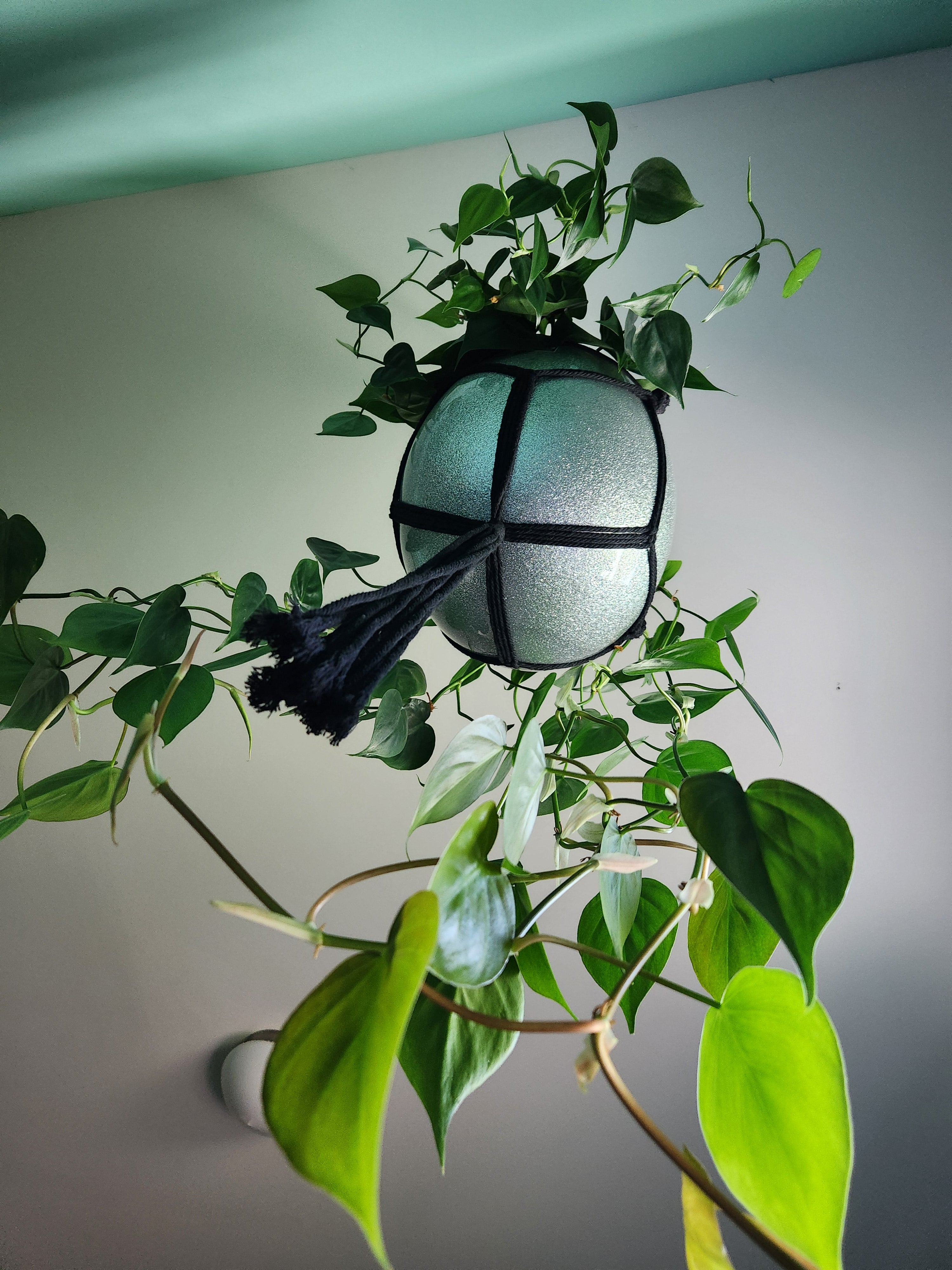 Handmade Full-Face Motorcycle Helmet Planters with Macrame Hanger - Eco-friendly Coconut Fiber Liner