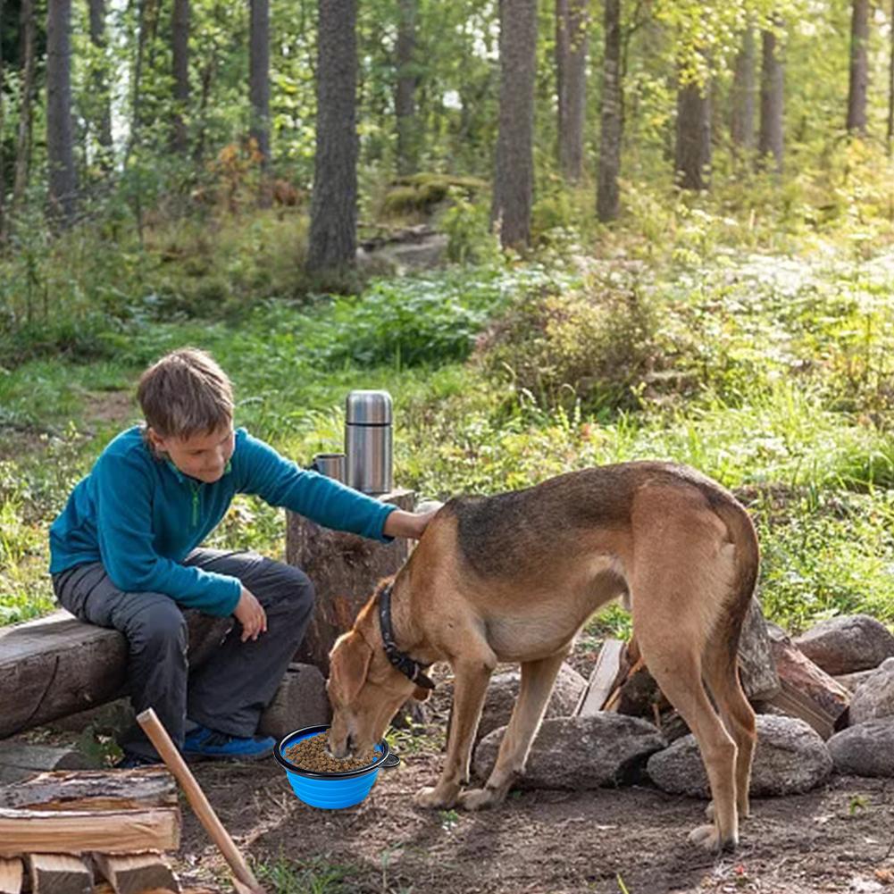 Durable Collapsible Dog Bowl with Lid and Food Container with Carabiner for Convenient Transport