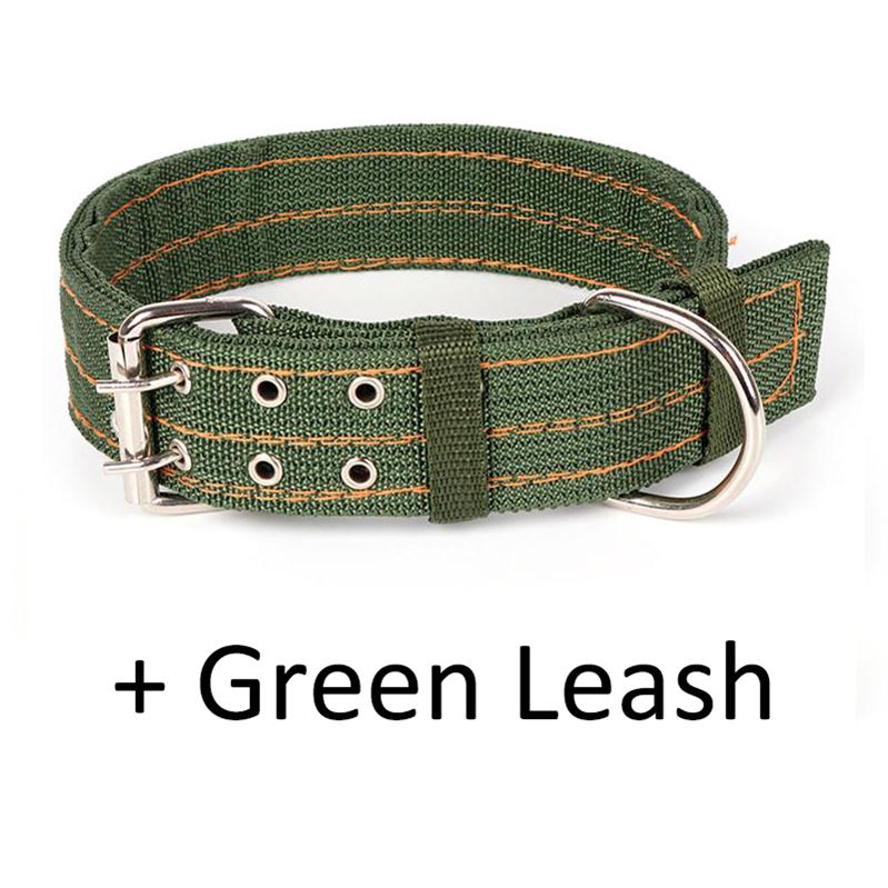 Strong Nylon Dog Leash with Canvas Adjustable Collar for Medium and Large Dogs - Durable and Secure Lead Set