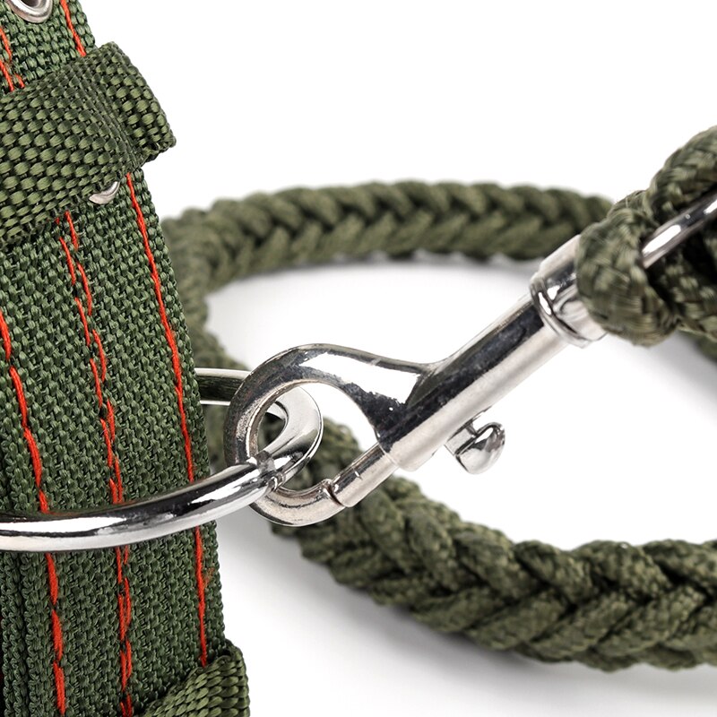 Strong Nylon Dog Leash with Canvas Adjustable Collar for Medium and Large Dogs - Durable and Secure Lead Set