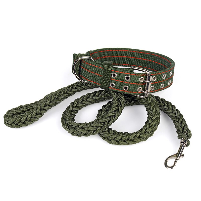 Strong Nylon Dog Leash with Canvas Adjustable Collar for Medium and Large Dogs - Durable and Secure Lead Set