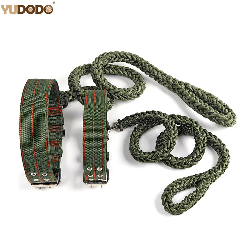 Strong Nylon Dog Leash with Canvas Adjustable Collar for Medium and Large Dogs - Durable and Secure Lead Set