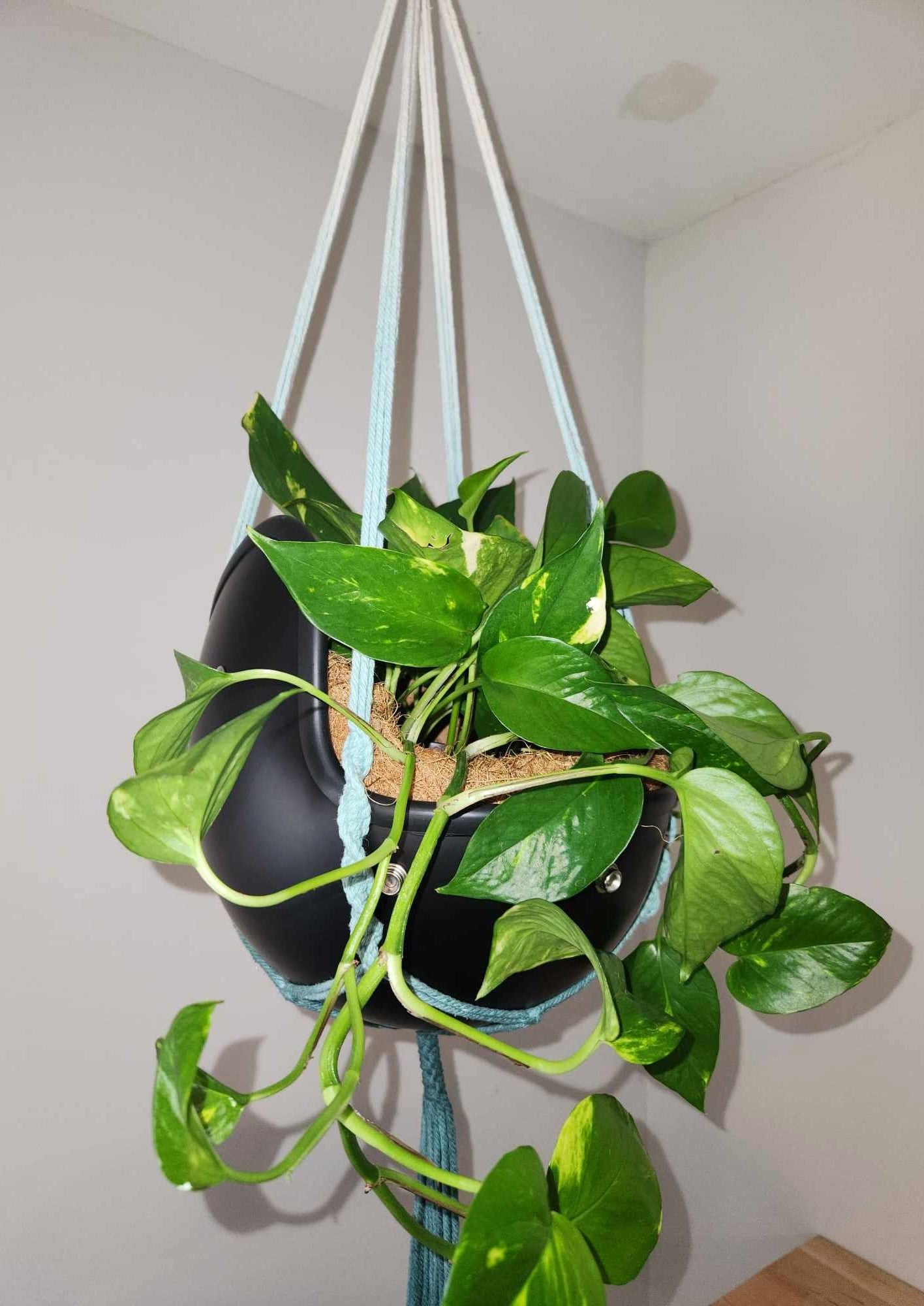 Vintage Open Face Motorcycle Helmet Planters with 100% Handmade Macrame Plant Hanger and Eco-friendly Coconut Fiber Liner