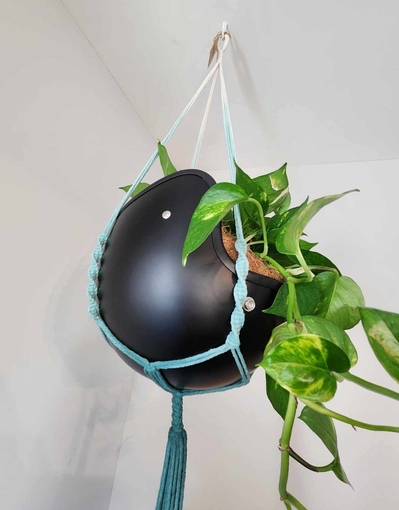 Vintage Open Face Motorcycle Helmet Planters with 100% Handmade Macrame Plant Hanger and Eco-friendly Coconut Fiber Liner