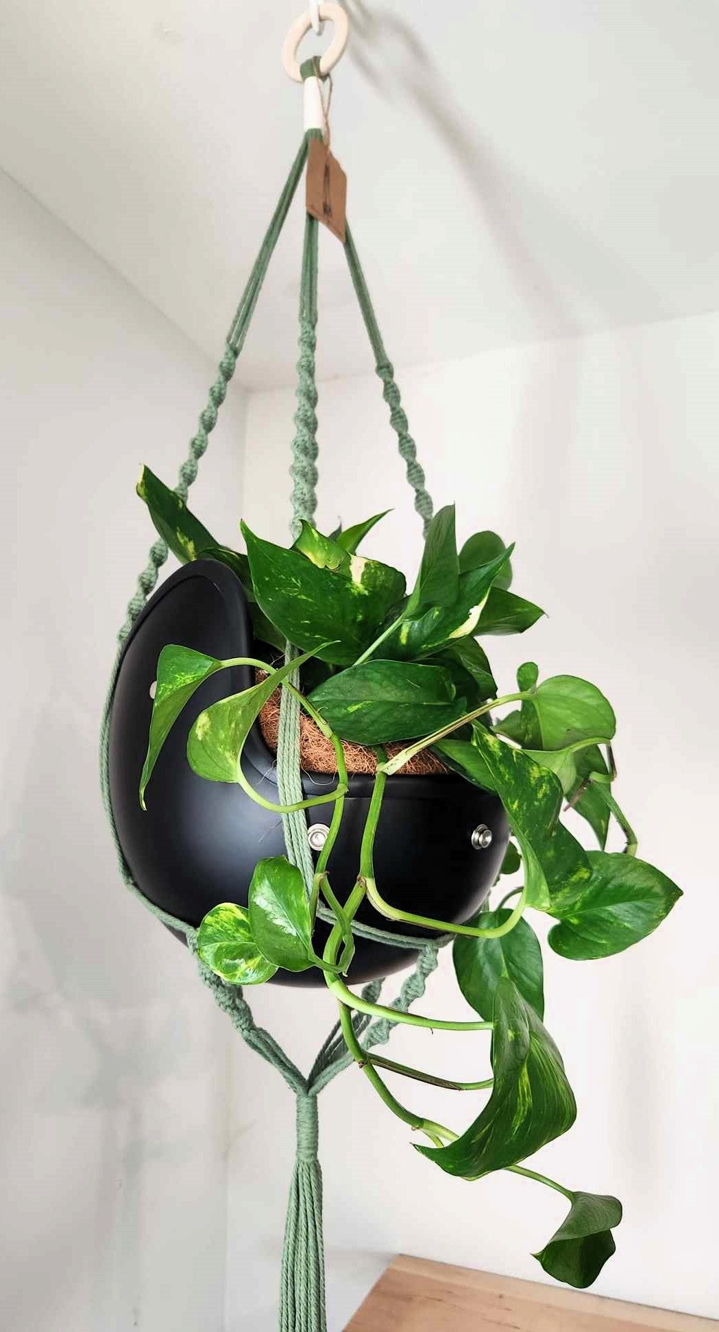 Vintage Open Face Motorcycle Helmet Planters with 100% Handmade Macrame Plant Hanger and Eco-friendly Coconut Fiber Liner