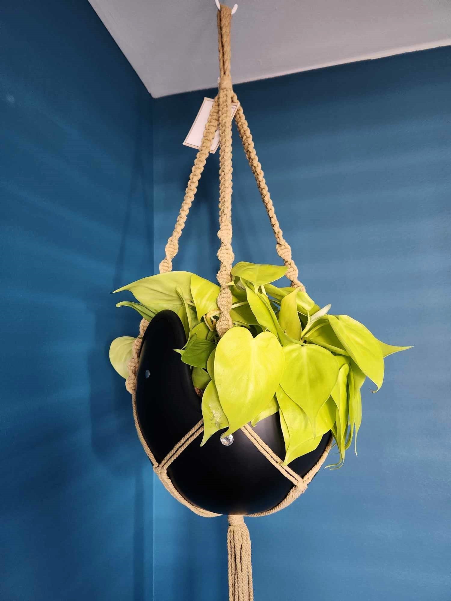 Vintage Open Face Motorcycle Helmet Planters with 100% Handmade Macrame Plant Hanger and Eco-friendly Coconut Fiber Liner