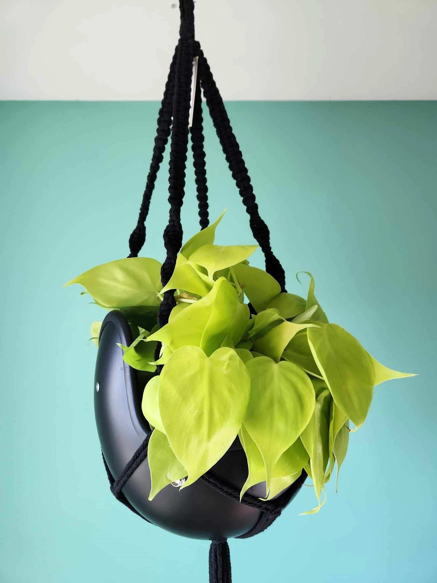 Vintage Open Face Motorcycle Helmet Planters with 100% Handmade Macrame Plant Hanger and Eco-friendly Coconut Fiber Liner