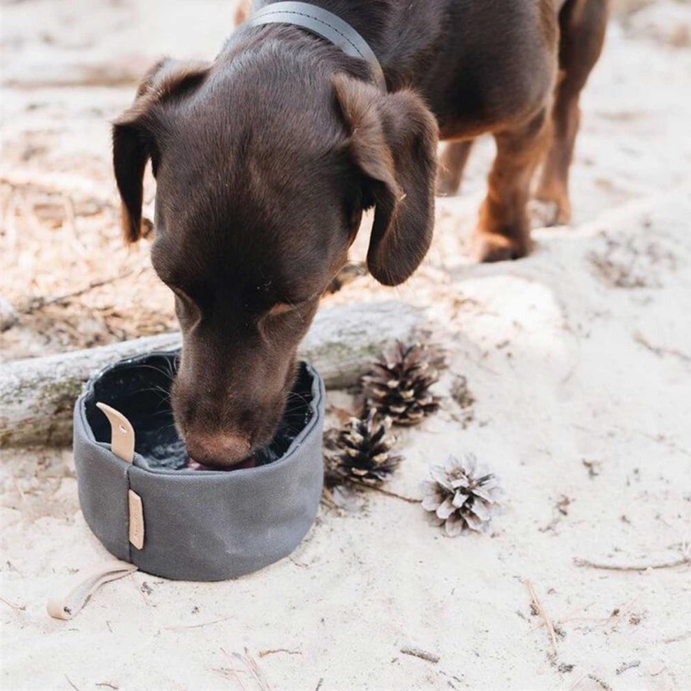 Collapsible Waterproof Dog Bowl with Leather Trim - 1000ML Capacity - Easy to Clean and Carry