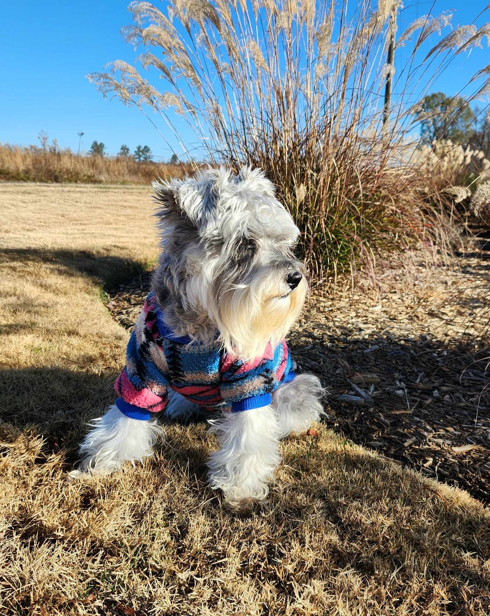 Stylish Lightweight Fleece Dog Sweater - Cozy and Warm Pet Apparel for Small to Medium Dogs