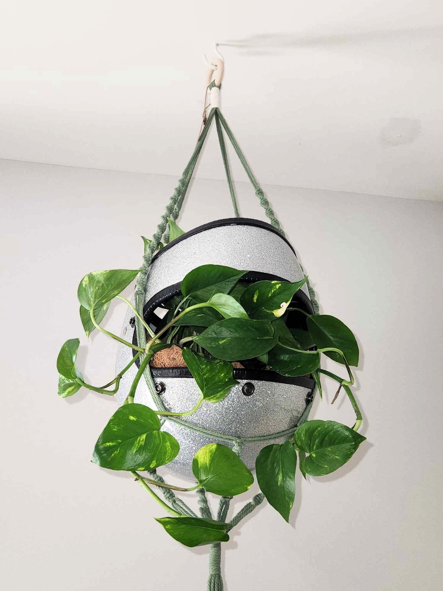 Handmade Full-Face Motorcycle Helmet Planters with Macrame Hanger - Eco-friendly Coconut Fiber Liner