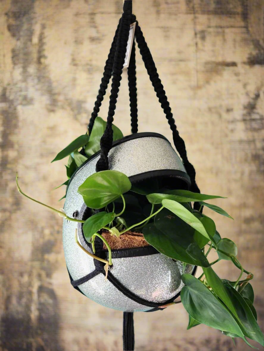 Handmade Full-Face Motorcycle Helmet Planters with Macrame Hanger - Eco-friendly Coconut Fiber Liner