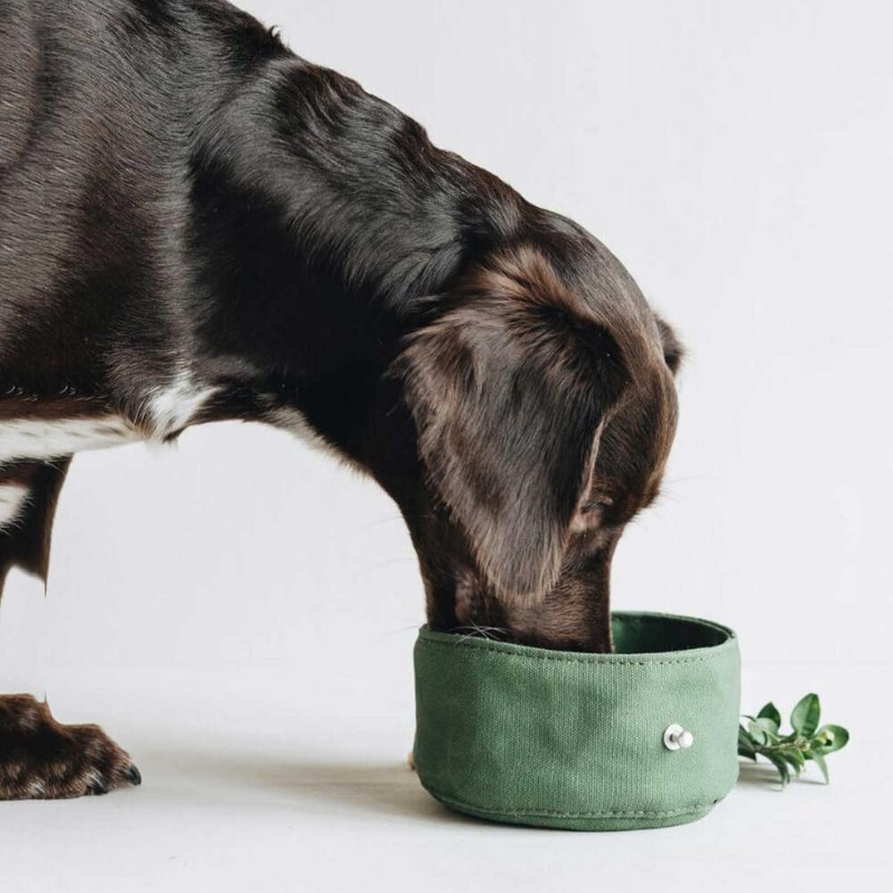 Collapsible Waterproof Dog Bowl with Leather Trim - 1000ML Capacity - Easy to Clean and Carry