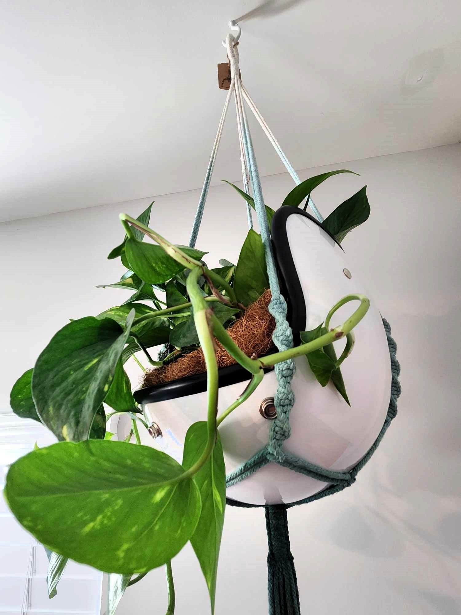 Vintage Open Face Motorcycle Helmet Planters with 100% Handmade Macrame Plant Hanger and Eco-friendly Coconut Fiber Liner