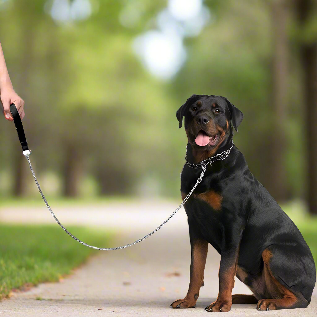 Heavy Duty Anti-bite Chain Leash with Leather Handle - 120cm - Durable Metal - Chew Proof - Suitable for Strong Dog Breeds