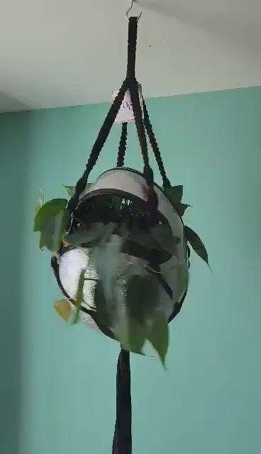 Handmade Full-Face Motorcycle Helmet Planters with Macrame Hanger - Eco-friendly Coconut Fiber Liner