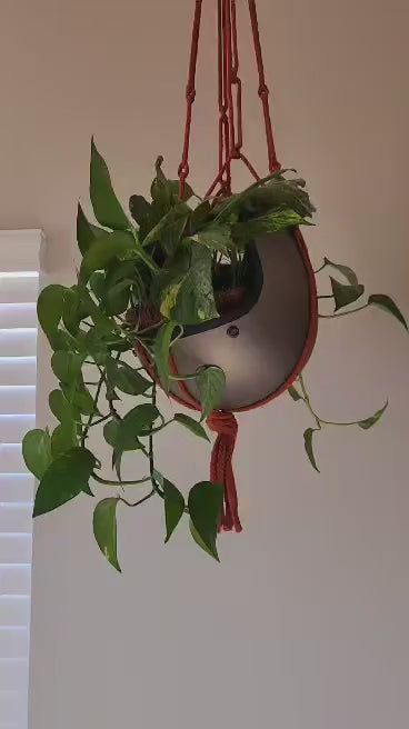 Vintage Open Face Motorcycle Helmet Planters with 100% Handmade Macrame Plant Hanger and Eco-friendly Coconut Fiber Liner