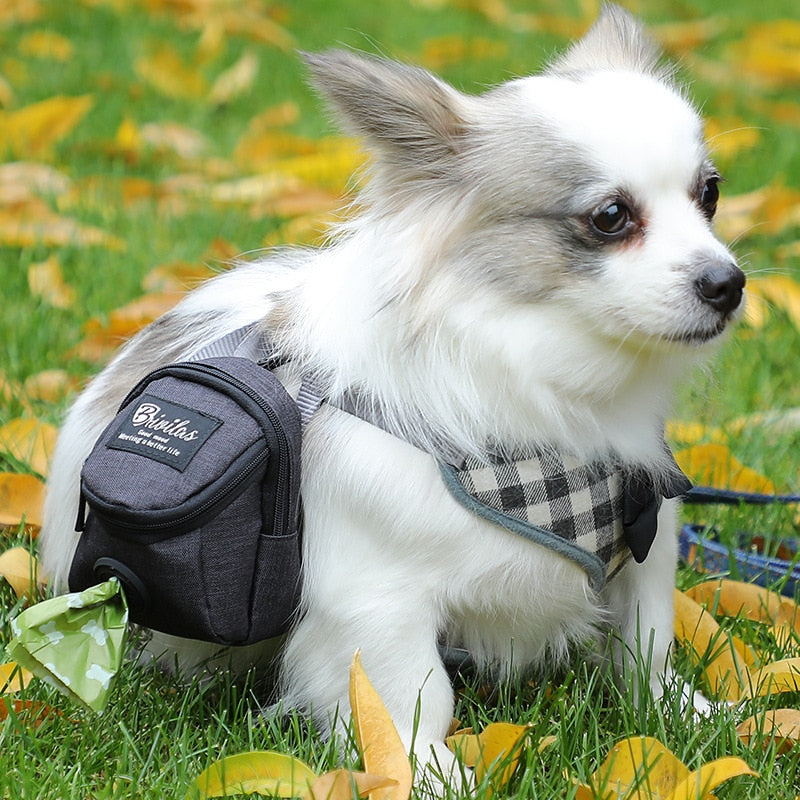 Multifunctional Pet Treat Dispenser Leash Poop Bag - Durable Material for Dog Training and Outdoor Use