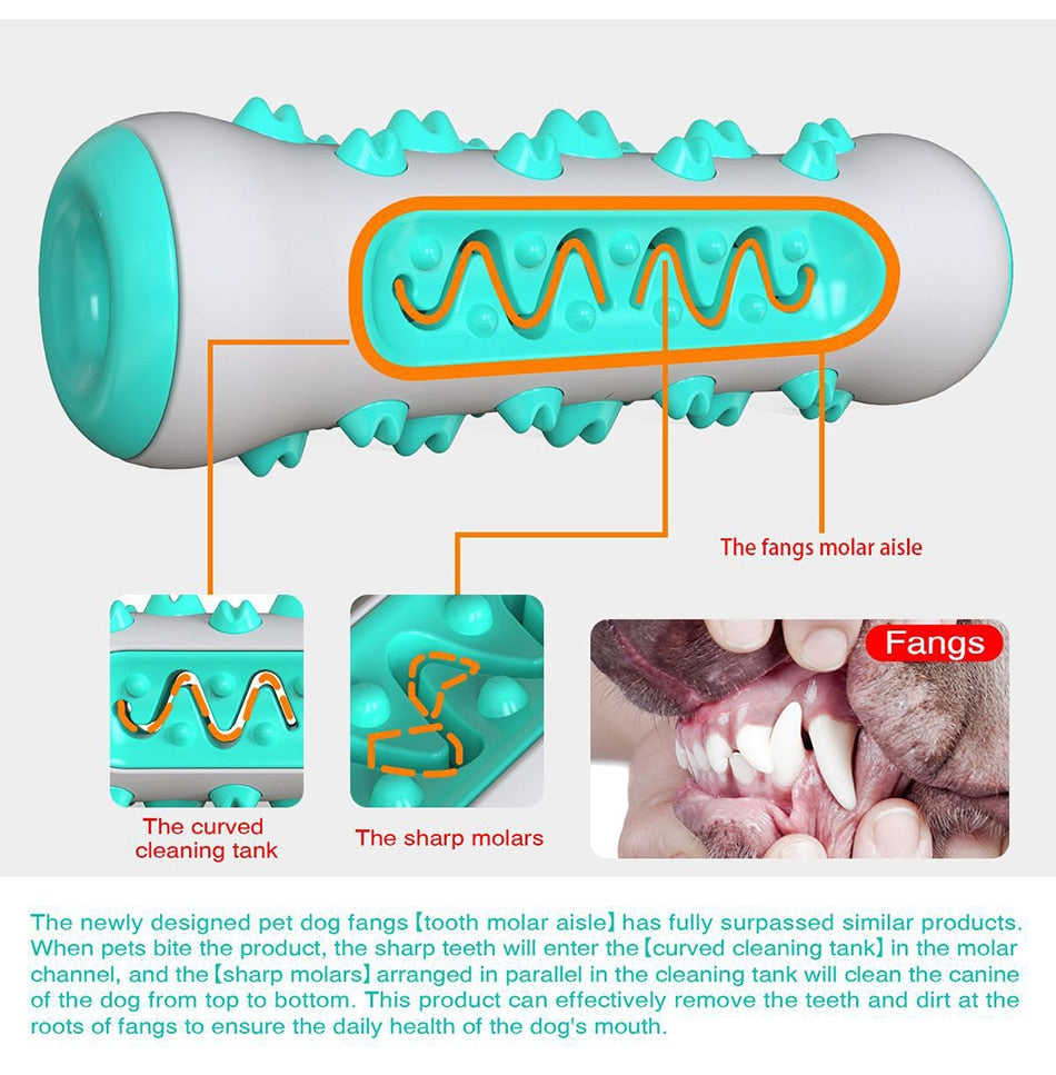 Safe and Durable Dog Toothbrush Chew Toy for Dental Health