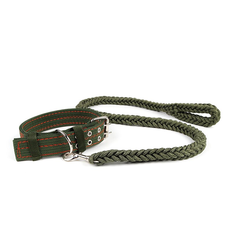 Strong Nylon Dog Leash with Canvas Adjustable Collar for Medium and Large Dogs - Durable and Secure Lead Set