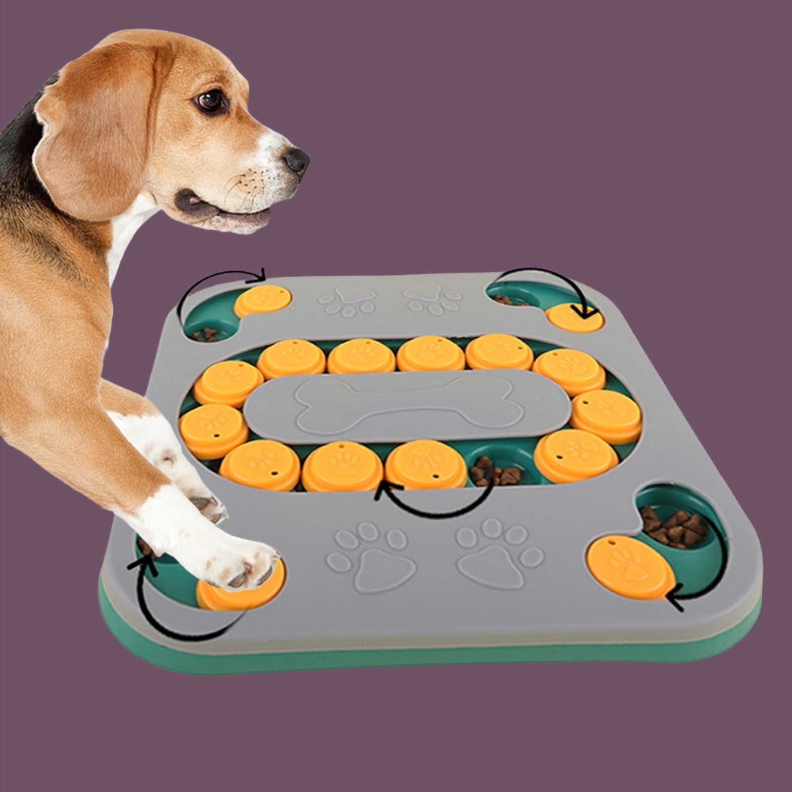 Interactive Dog Puzzle Toy with Slow Feeder Food Dispenser: Durable Anti-Beat Design for Mental Stimulation